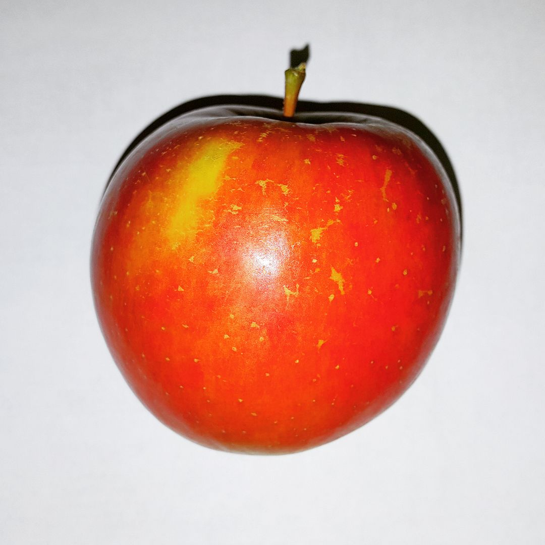 Seattle Garden & Fruit Adventures Beni Shogun Apple The early Fuji